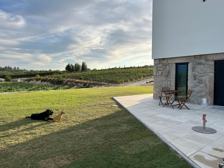Quinta Do Carregal Villa Mangualde Bagian luar foto